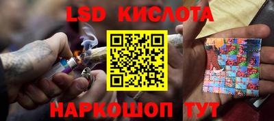 прущие грибы Комсомольск-на-Амуре