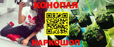 спайс Коммунар